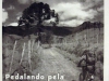 moutain_voices_115_pag12