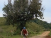 blugrama-dia-2-21