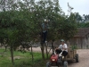 blugrama-dia-6-12
