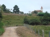 blugrama-dia-6-16