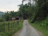 blugrama-dia-6-20