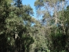 blugrama-dia-8-12