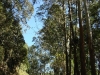blugrama-dia-8-13