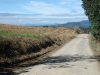 blugrama-dia-8-25