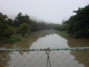 blugrama-dia-8-4