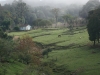 blugrama-dia-8-6