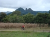 blugrama-dia-10-31