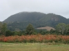 blugrama-dia-10-38