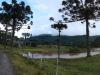 blugrama-dia-10-60