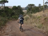 blugrama-dia-12-26