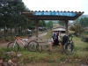 blugrama-dia-14-11