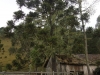 blugrama-dia-14-12
