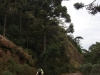 blugrama-dia-14-9