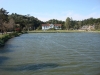 blugrama-dia-16-5