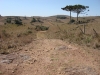 blugrama-dia-18-11