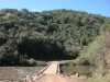 blugrama-dia-20-12