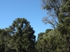 blugrama-dia-20-36