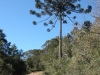 blugrama-dia-20-47