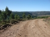 blugrama-dia-20-48