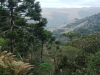 blugrama-dia-22-21