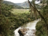 blugrama-dia-22-54