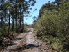 blugrama-dia-23-25