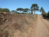 blugrama-dia-23-45