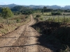 blugrama-dia-23-46