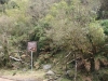 blugrama-dia-24-10