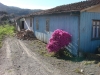 blugrama-dia-24-41
