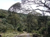 blugrama-dia-24-6