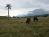blugrama-dia-25-123
