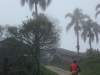 blugrama-dia-25-138
