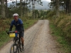 blugrama-dia-25-34
