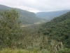 blugrama-dia-25-63
