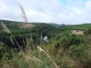 blugrama-dia-27-15