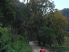 blugrama-dia-27-52