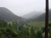 blugrama-dia-27-9