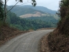blugrama-dia-29-25