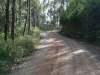 blugrama-dia-30-19
