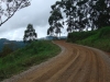 blugrama-dia-30-23