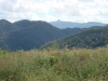 blugrama-dia-30-34