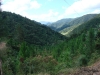 blugrama-dia-30-38