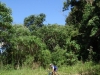 campos-do-jordao-1-003