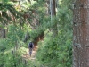 campos-do-jordao-1-010