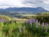 carretera-austral-1004