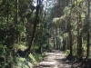 ciclom-dia27-10