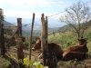 ciclom-dia10-14