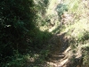 ciclom-dia11-7