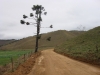 ciclom-dia12-11